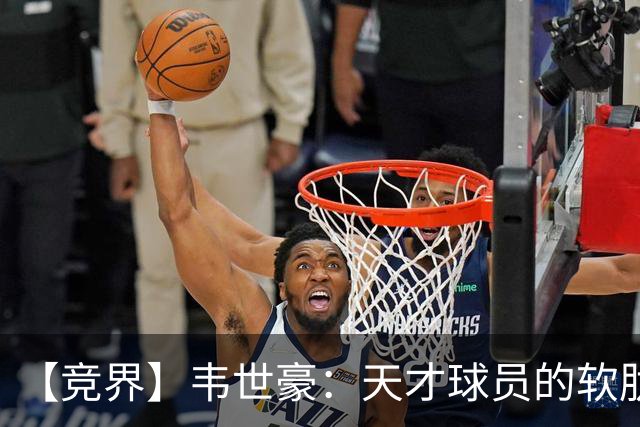 【竞界】韦世豪：天才球员的软肋 洪七公效应的外溢